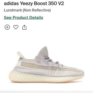 Adidas Yeezy Boost 350 V2 Cloud White Non-Reflective 2019